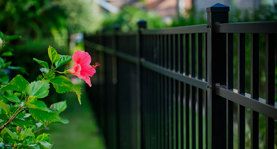 Fencing